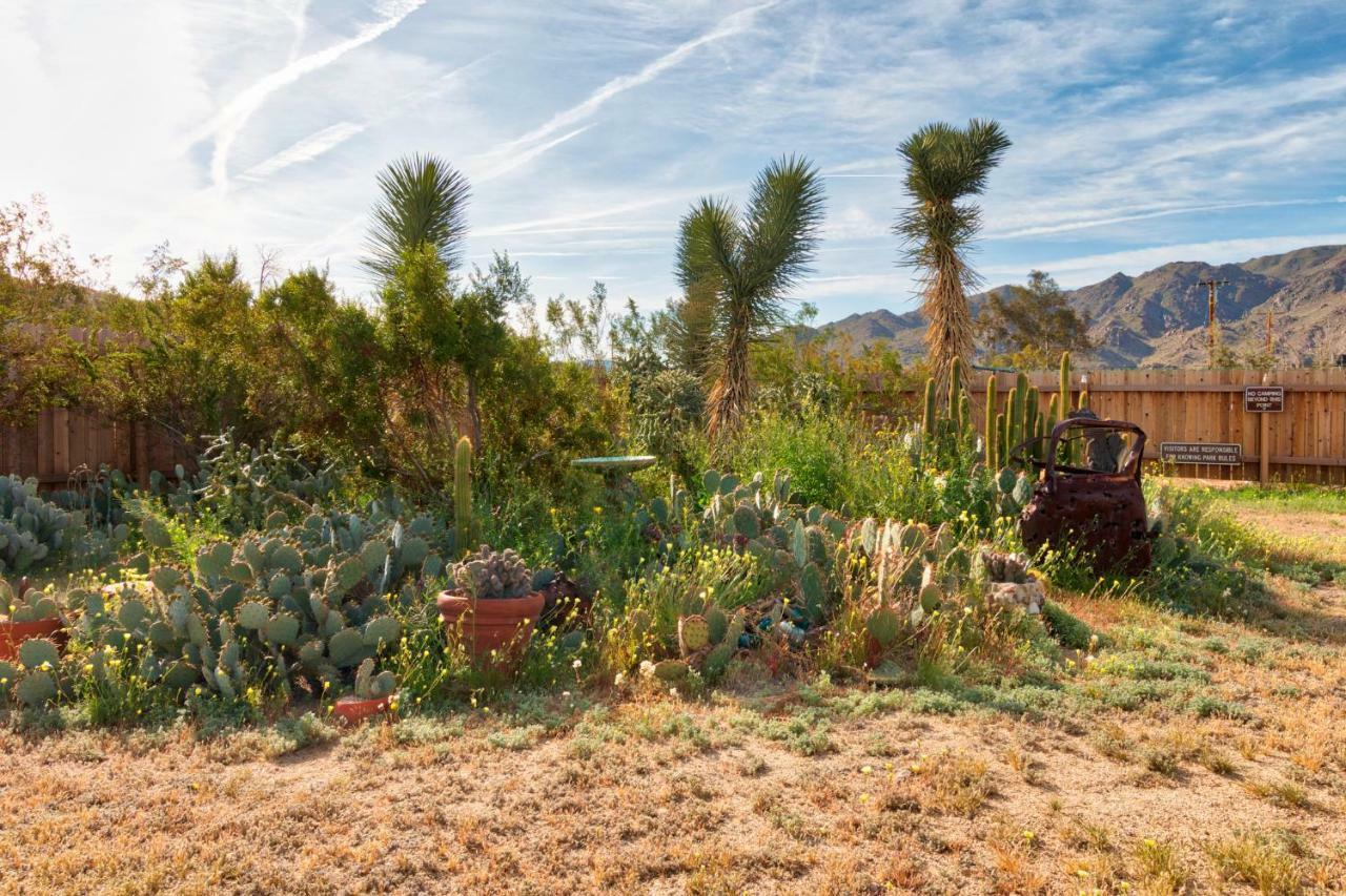 Willa Cactus Adobe Twentynine Palms Zewnętrze zdjęcie